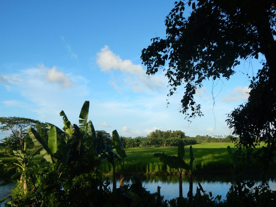 Martian Outposts The Quest for Sustainable Habitats